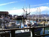 Fisherman Wharf_Marina.jpg